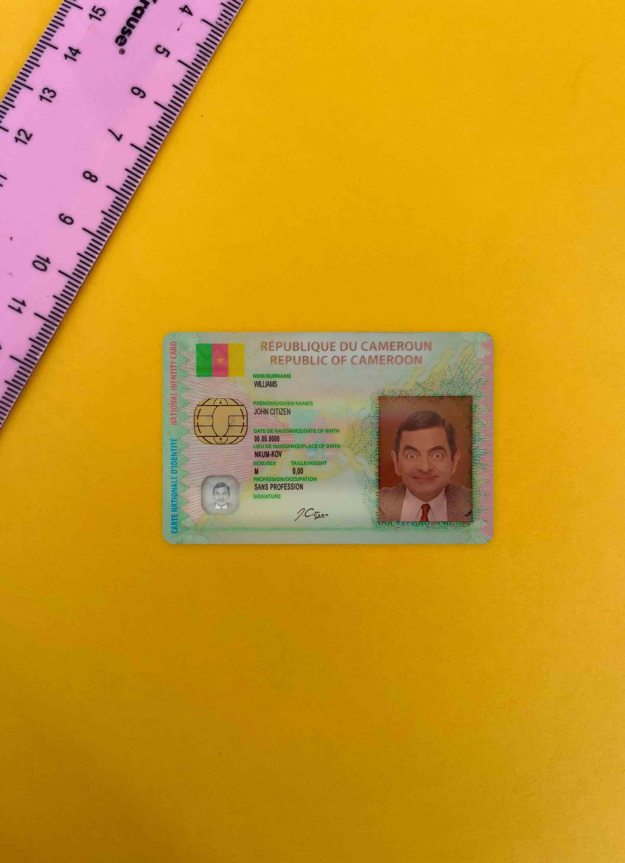 Cameroon ID photolook FRONT PSD template